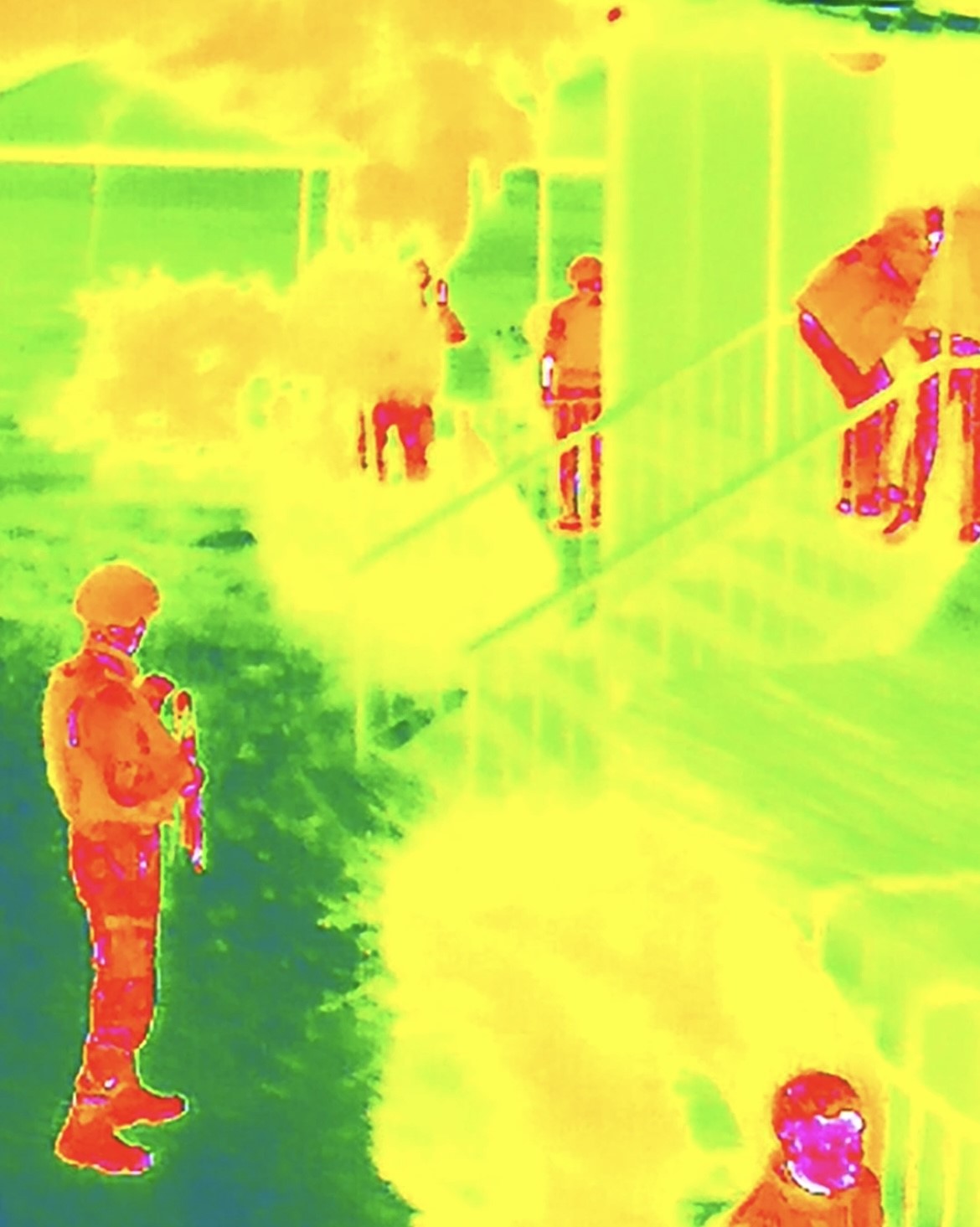 Sarallar çetesine büyük operasyon: 14 şüpheli yakalandı
