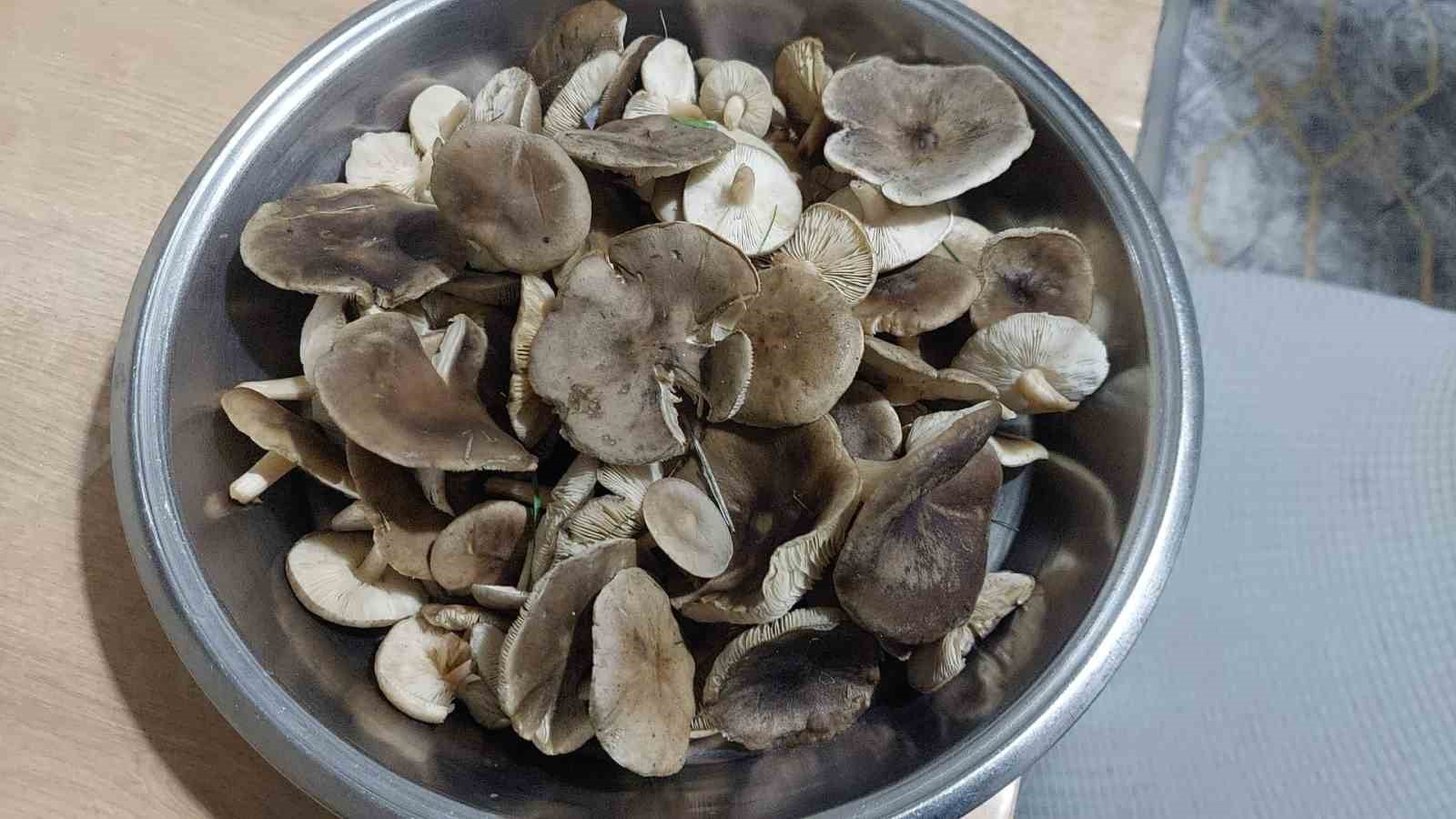 Sarıgöl’de ağaçlar çiçek açtı, dağlar mantar doldu
