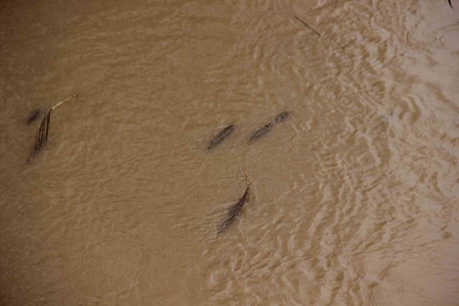 Sarıgöl’de bereketli yağmurlar yüzleri güldürdü
