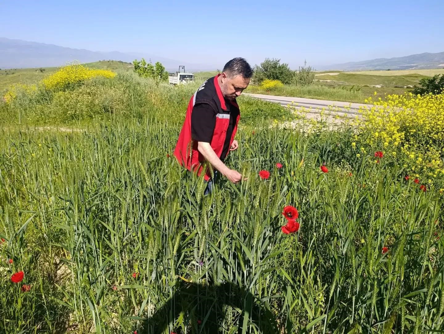 Sarıgöl’de huhubatta verim için ekipler sahada
