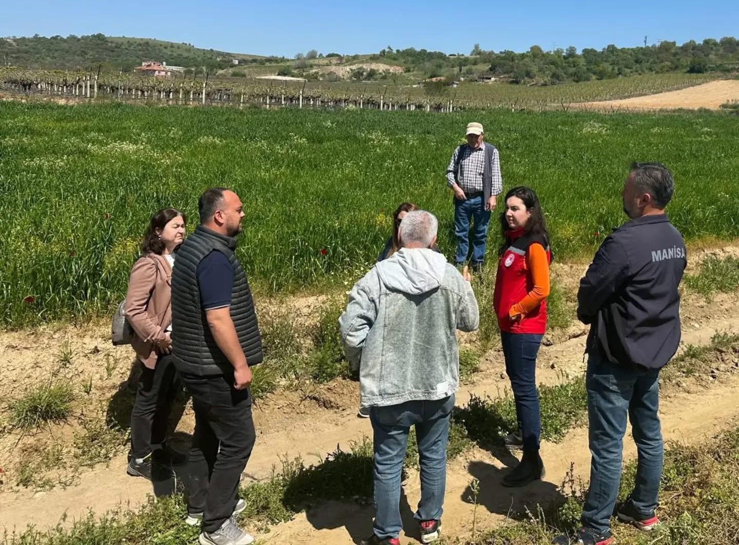 Sarıgöl’de incir hamlesi
