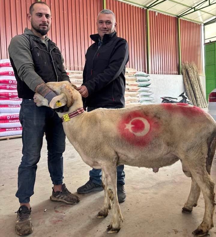 Sarıgöl’de kurbanlık pazarı hareketlendi

