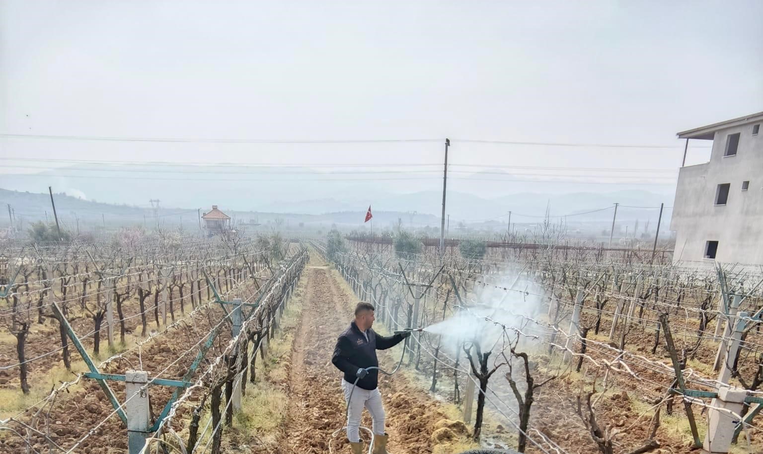 Sarıgöl’de ölü kol hastalığıyla mücadele başladı
Sarıgöl’de ölü kol hastalığıyla mücadele başladı