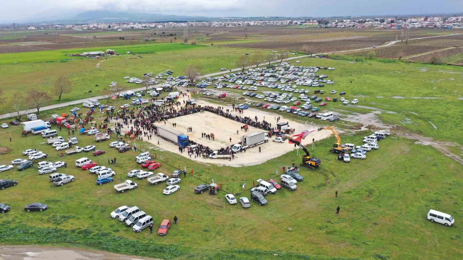 Saruhanlı’da deve güreşlerine binlerce vatandaş akın etti
