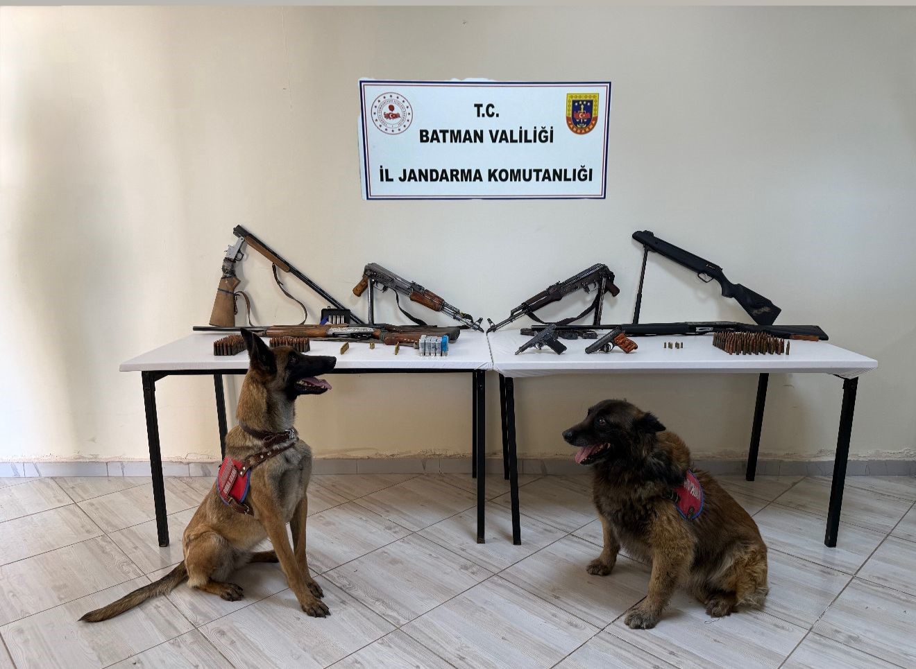 Sason’da kaçak silahlar ele geçirildi, 2 kişi tutuklandı
