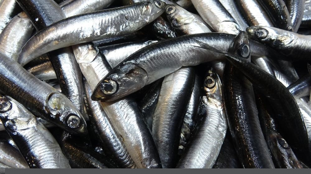 Savaş halindeki ülke ihracatta ilk sırayı aldı
