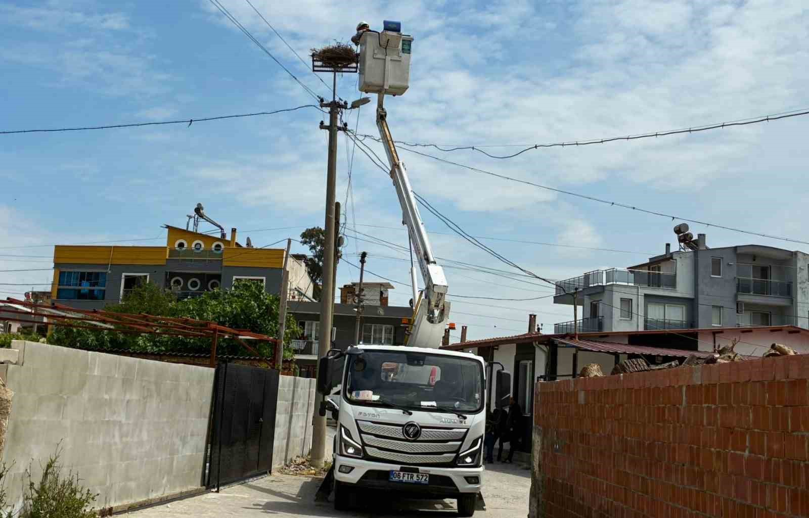 Sazlı’da leylekler yeni yuvasına kavuştu

