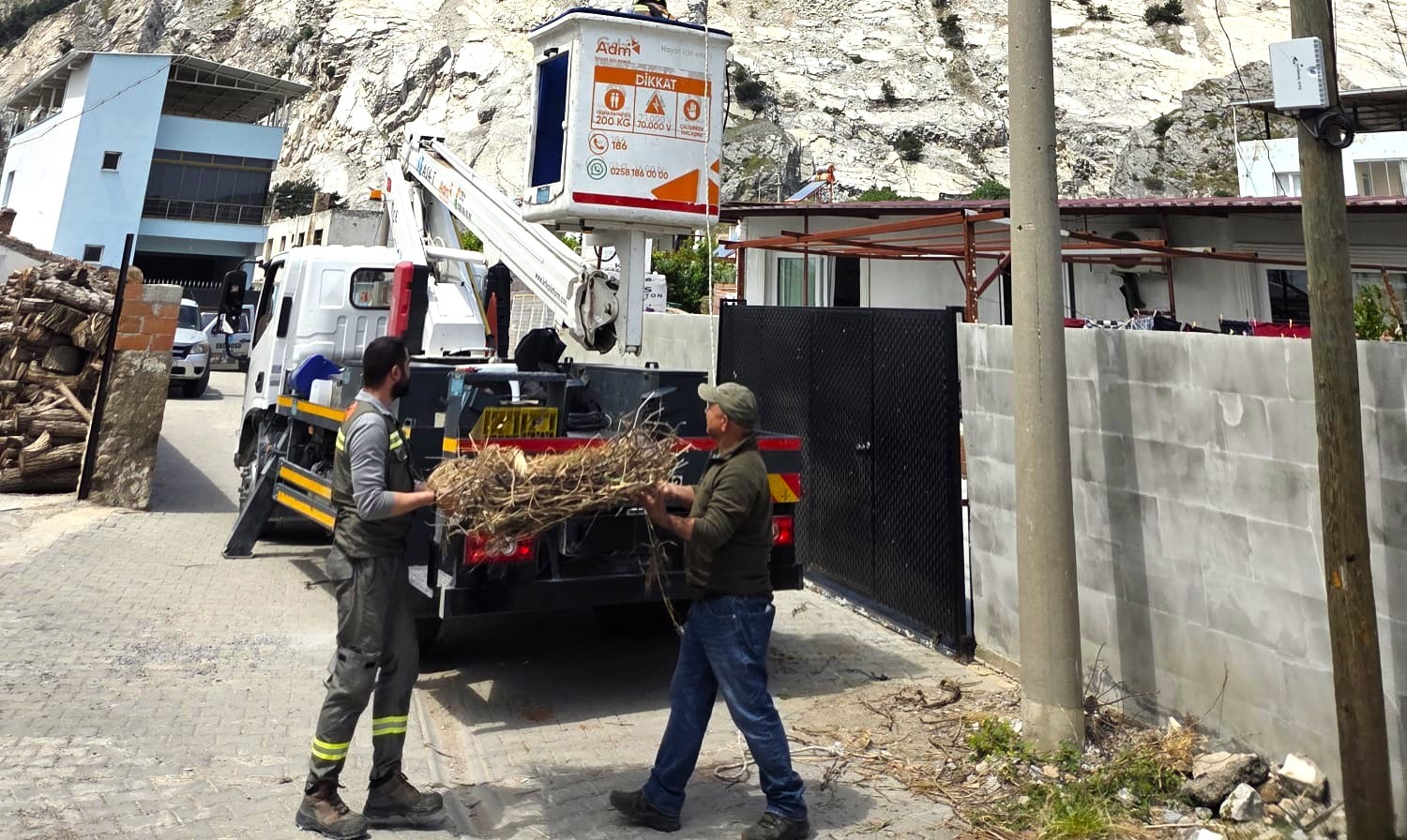 Sazlı’da leylekler yeni yuvasına kavuştu
