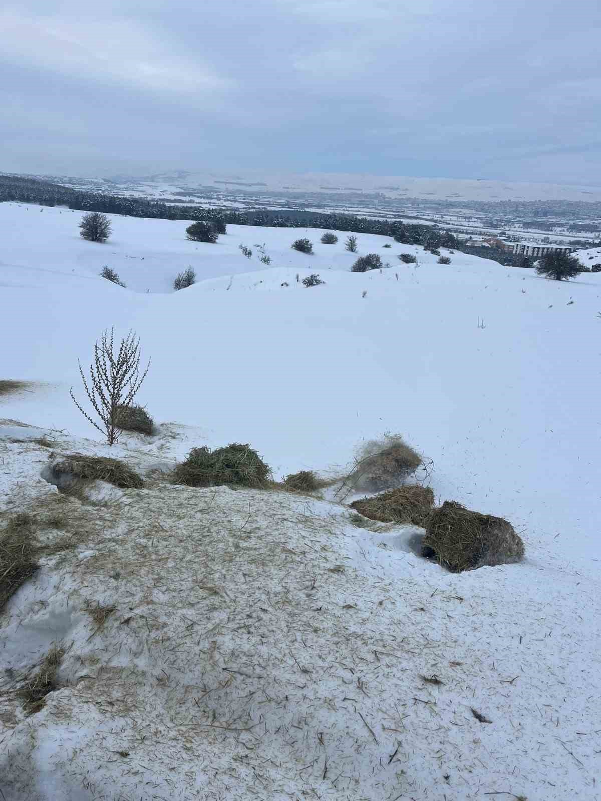 SCÜ, Yabani hayvanlar için doğaya yem bıraktı
