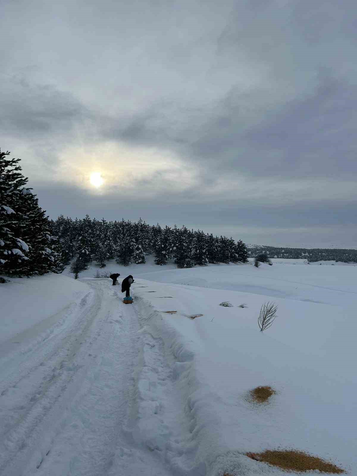 SCÜ, Yabani hayvanlar için doğaya yem bıraktı
