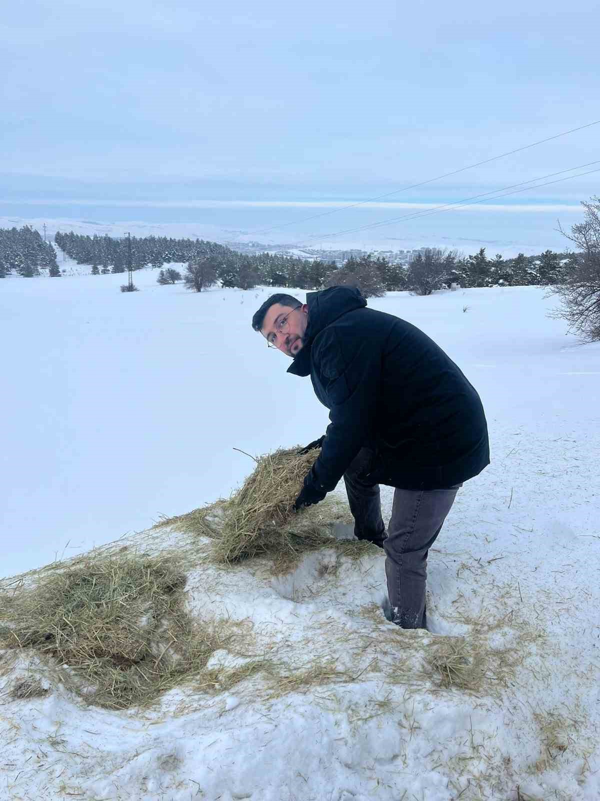 SCÜ, Yabani hayvanlar için doğaya yem bıraktı
