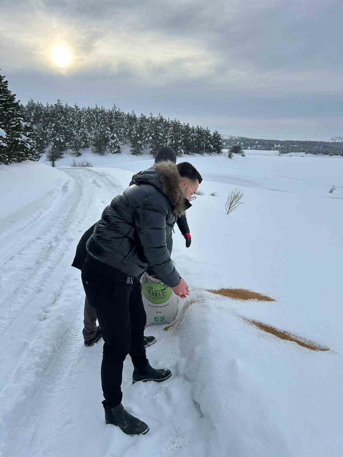 SCÜ, Yabani hayvanlar için doğaya yem bıraktı
