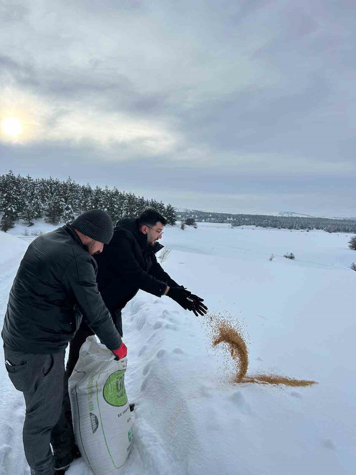 SCÜ, Yabani hayvanlar için doğaya yem bıraktı
