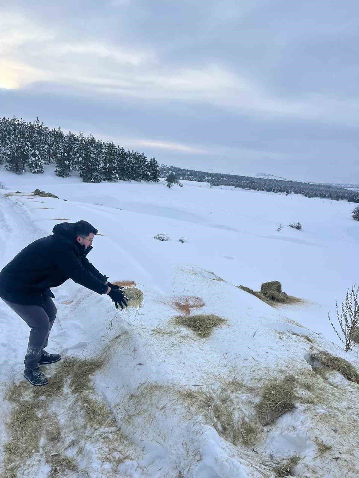 SCÜ, Yabani hayvanlar için doğaya yem bıraktı
