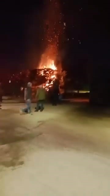 Sebepsiz yere ateşe verilen ağaç itfaiyeyi harekete geçirdi
