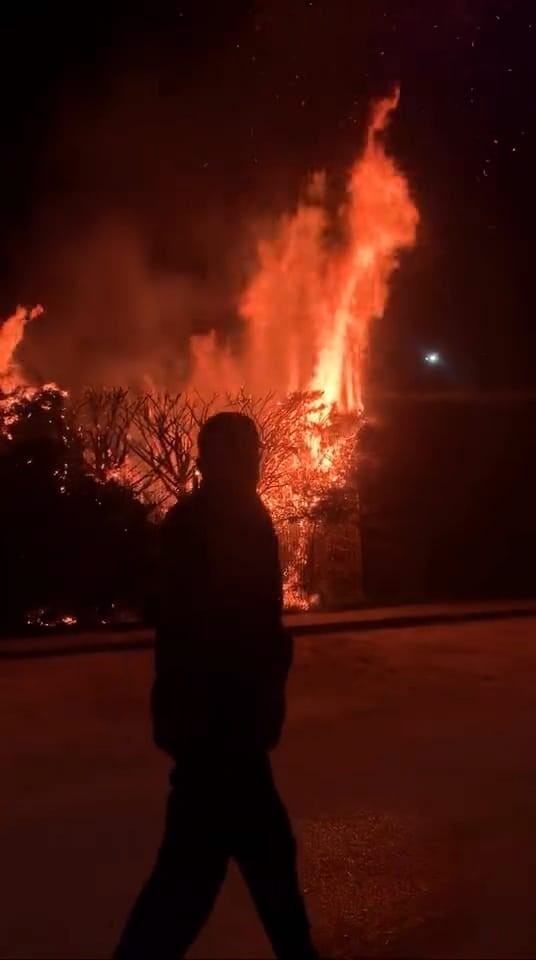 Sebepsiz yere ateşe verilen ağaç itfaiyeyi harekete geçirdi
