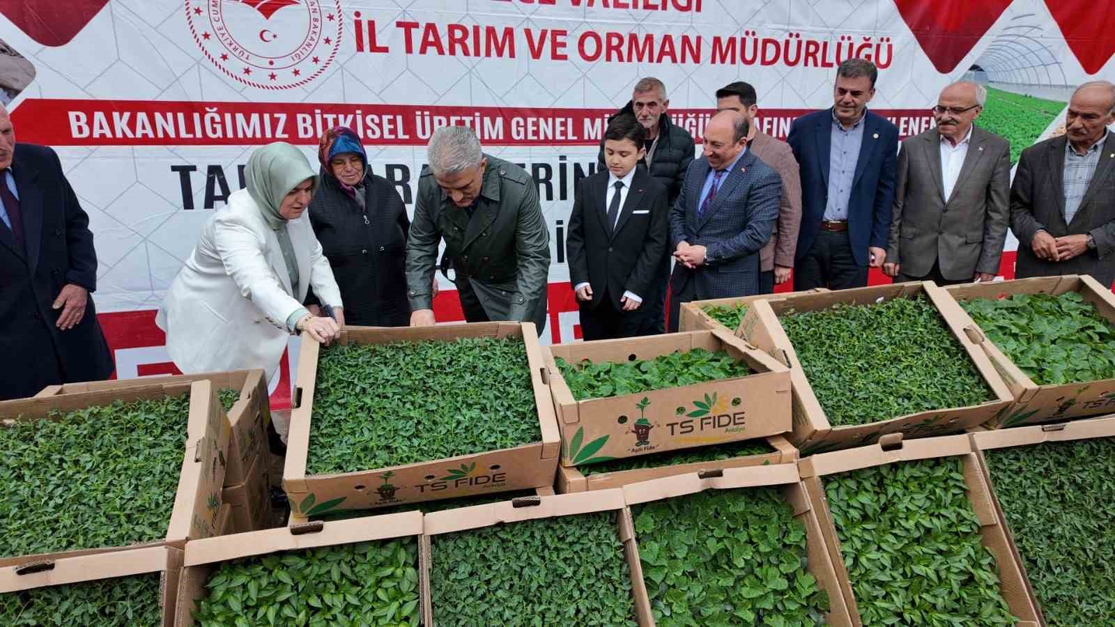 Sebze üretimi yapan çiftçilere fide dağıtıldı
