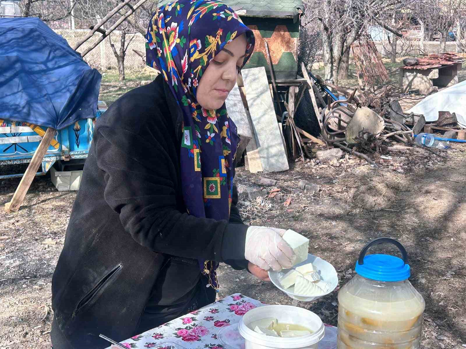 Şehir hayatını bırakıp üretime yöneldi: Kadın girişimci Fransız koyunlarıyla dikkat çekiyor
