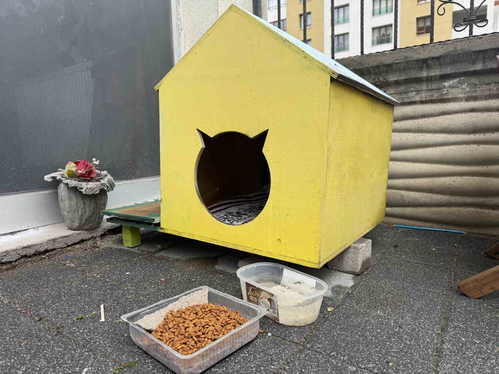 Şehir merkezine inen tilki kimseye aldırış etmeden karnını doyurdu
