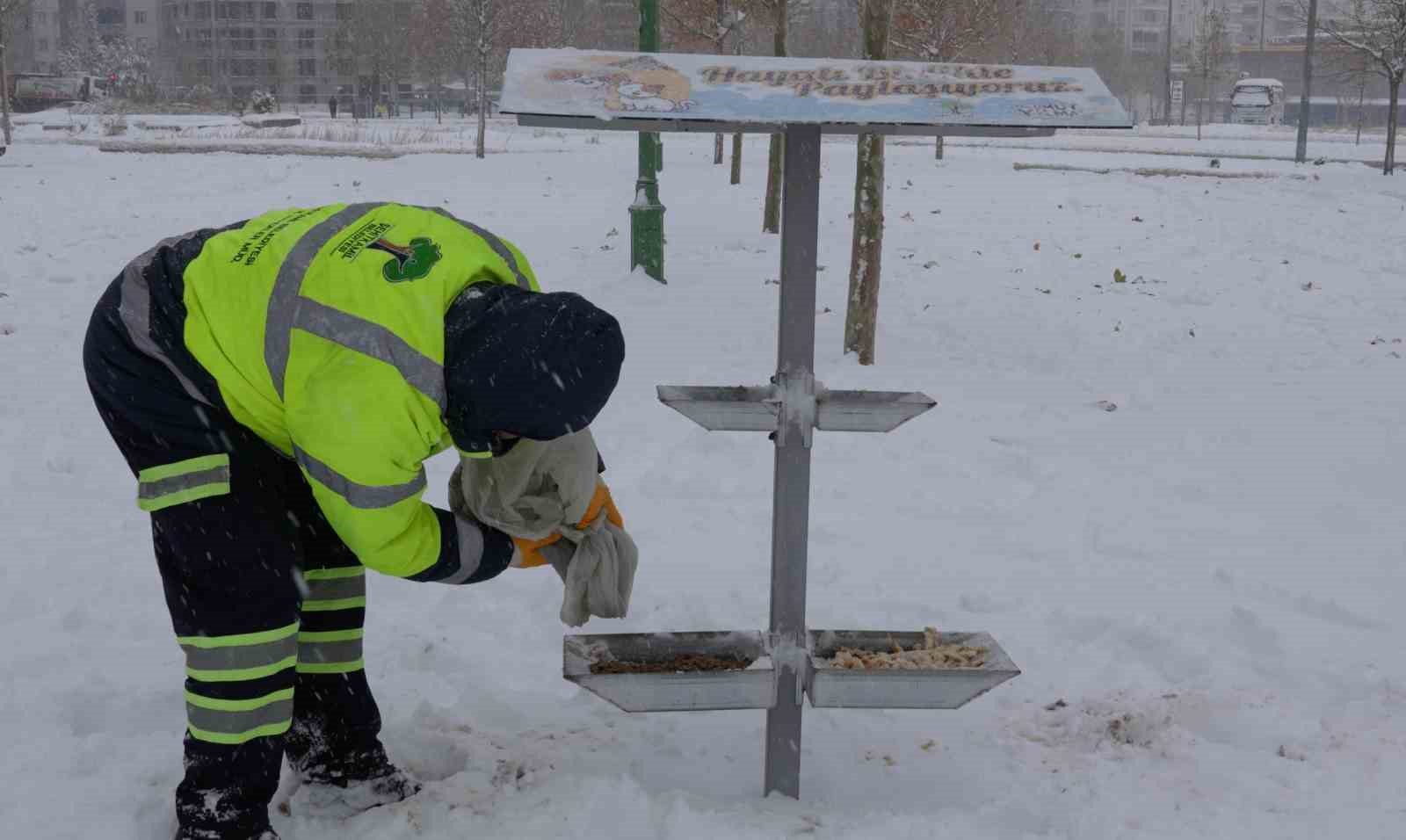 Şehitkamil sokak hayvanlarını unutmadı
Şehitkamil sokak hayvanlarını unutmadı