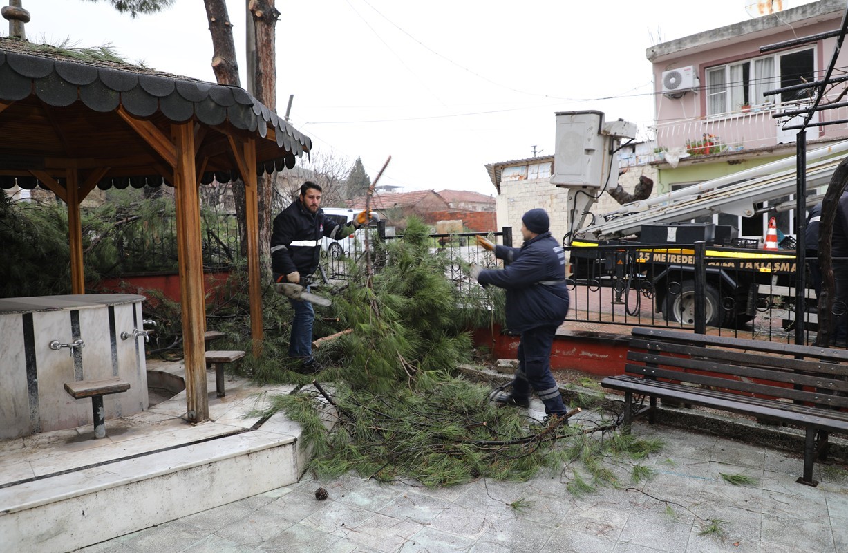 Şehzadeler Belediyesi’nin budadığı dallar ihtiyaç sahiplerinin ocağını ısıtıyor
