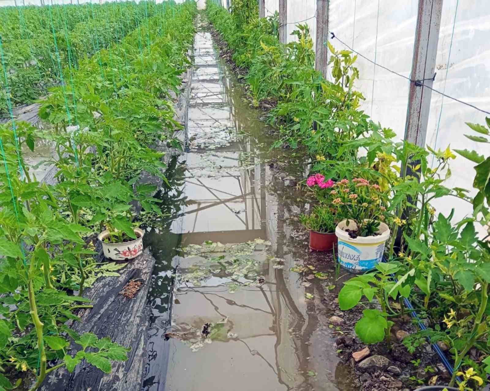 Sel afetinde zarar gören alanlarda ön hasar tespit çalışmaları başladı
