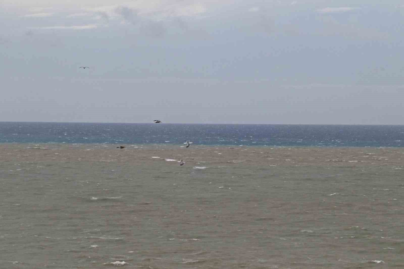 Şelale şiddetli rüzgarla tersine çağladı, denizin rengi kahverengiye büründü
