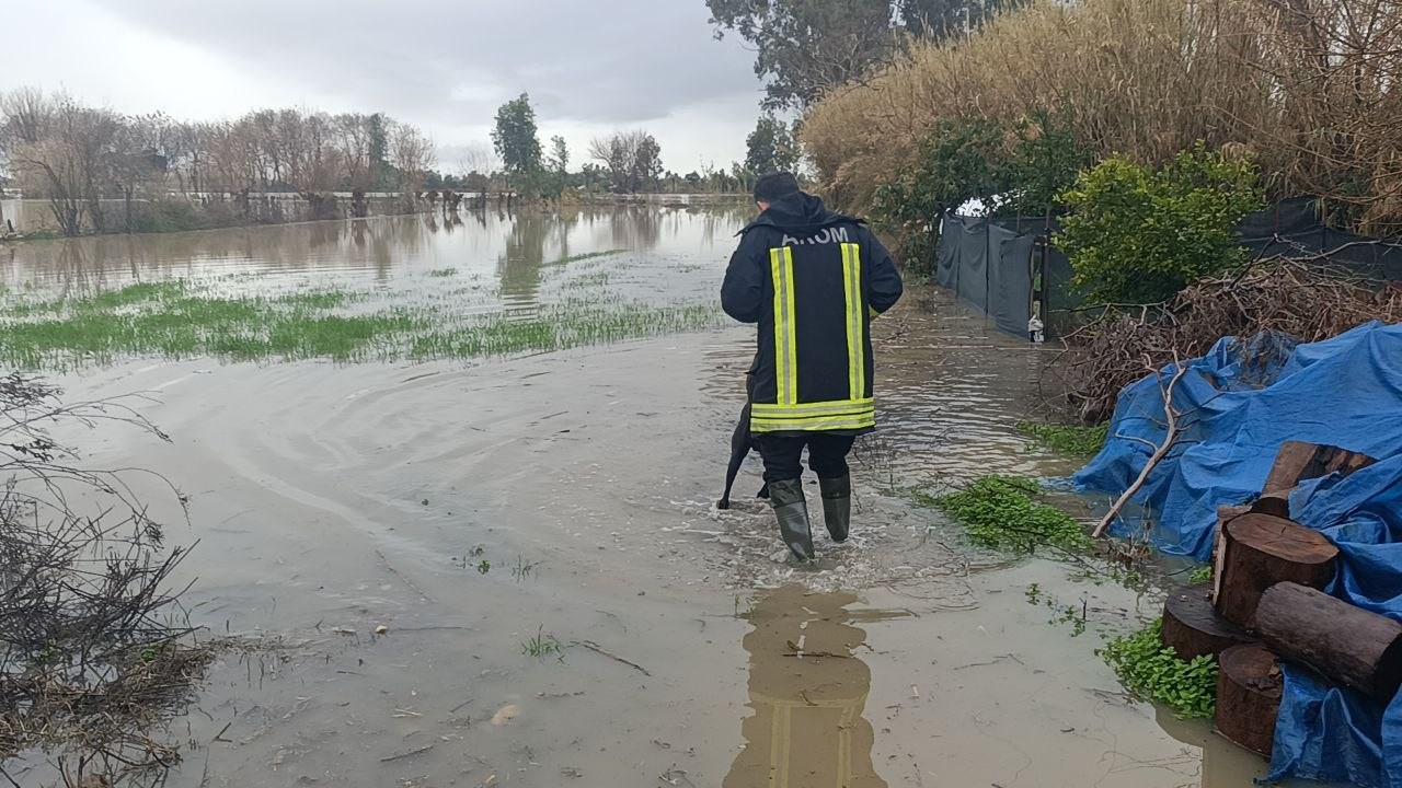 Selde mahsur kalan köpeği AKOM ekipleri kurtardı
