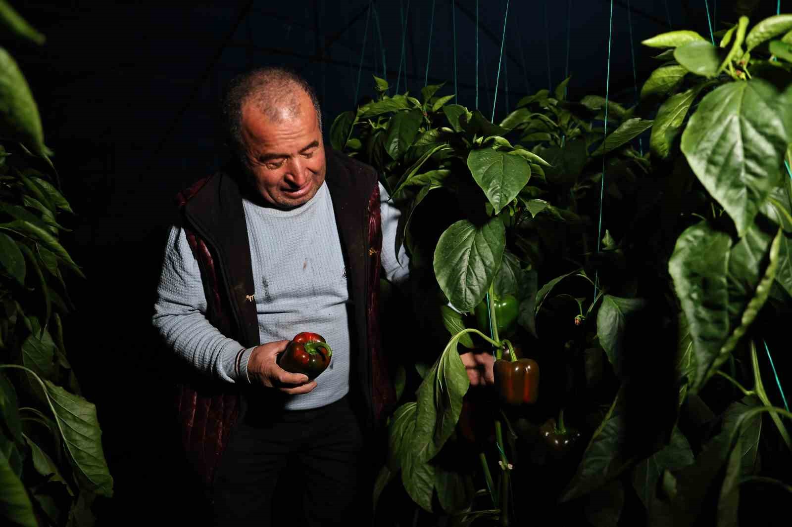 Seralarda dona karşı sıcaklıklar cep telefonundan anlık takip ediliyor
