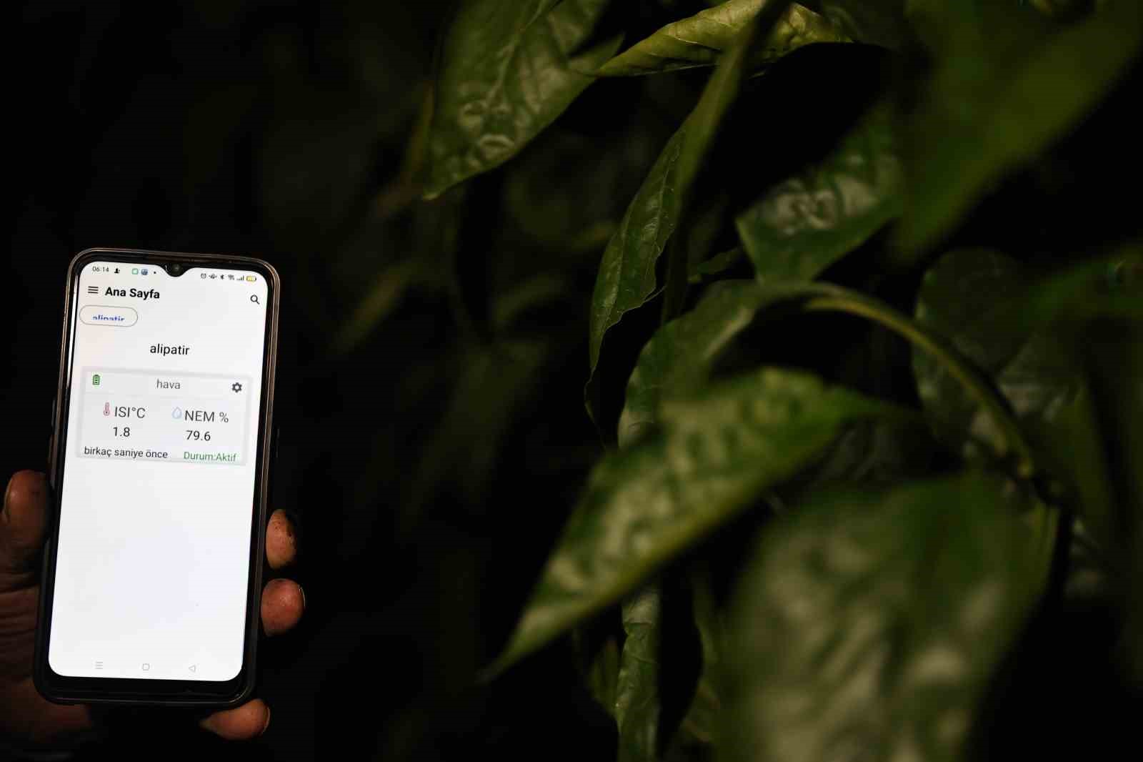 Seralarda dona karşı sıcaklıklar cep telefonundan anlık takip ediliyor
