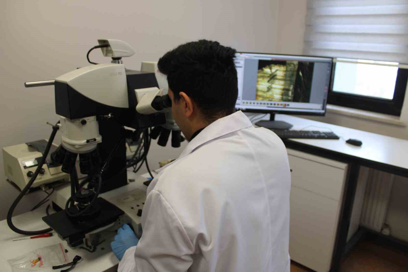 ’Sessiz tanıklar’ı konuşturan laboratuvar
