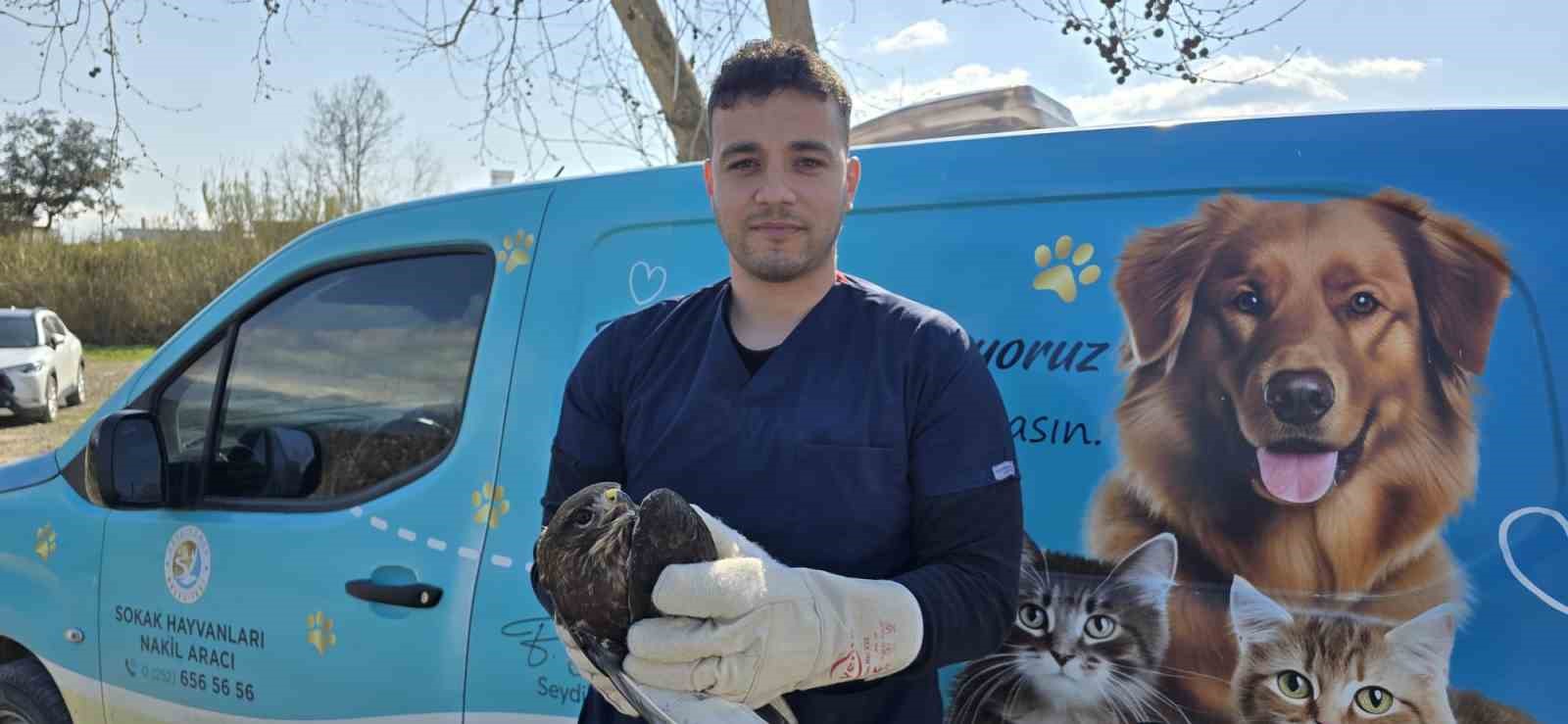 Seydikemer’de yaralı şahin tedavi altına alındı
