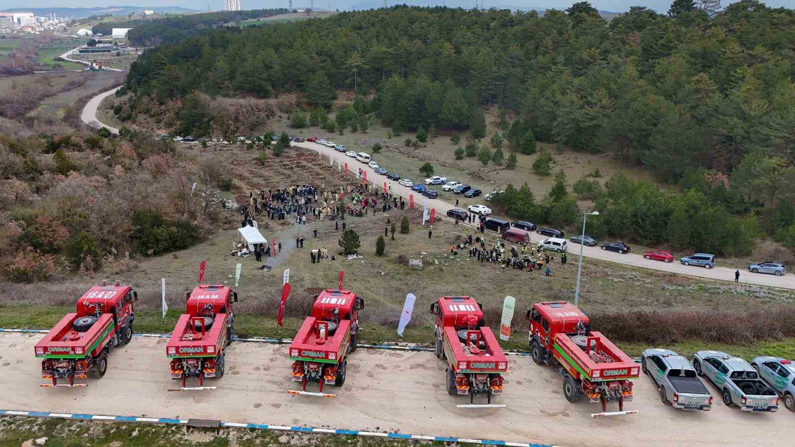 Şeyh Edebali’nin vefatının 700. yıl dönümünde 700 çınar toprakla buluştu
