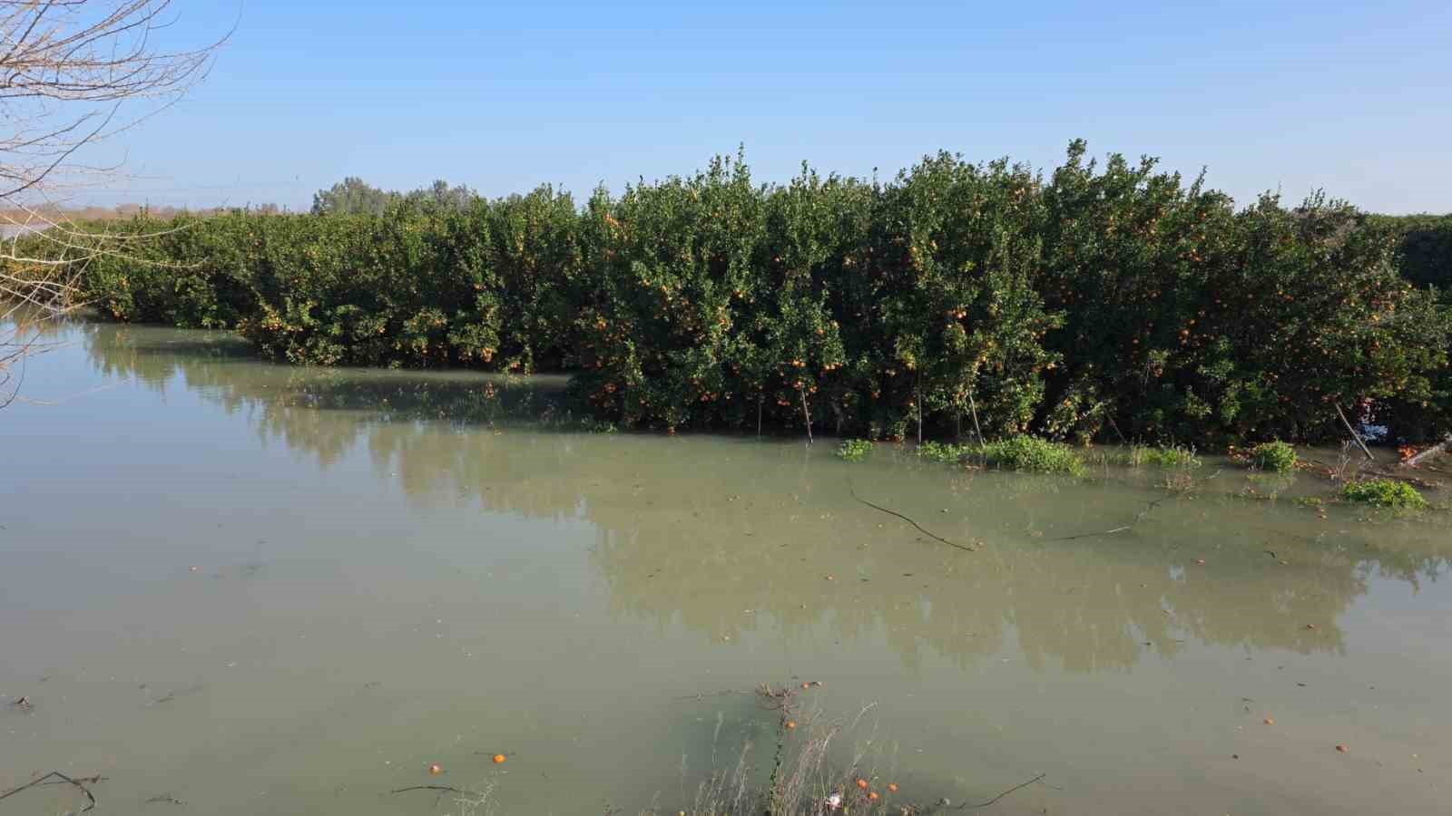 Seyhan Barajı’ndan su tahliyesi sürüyor: Tarlalar su altında kaldı
