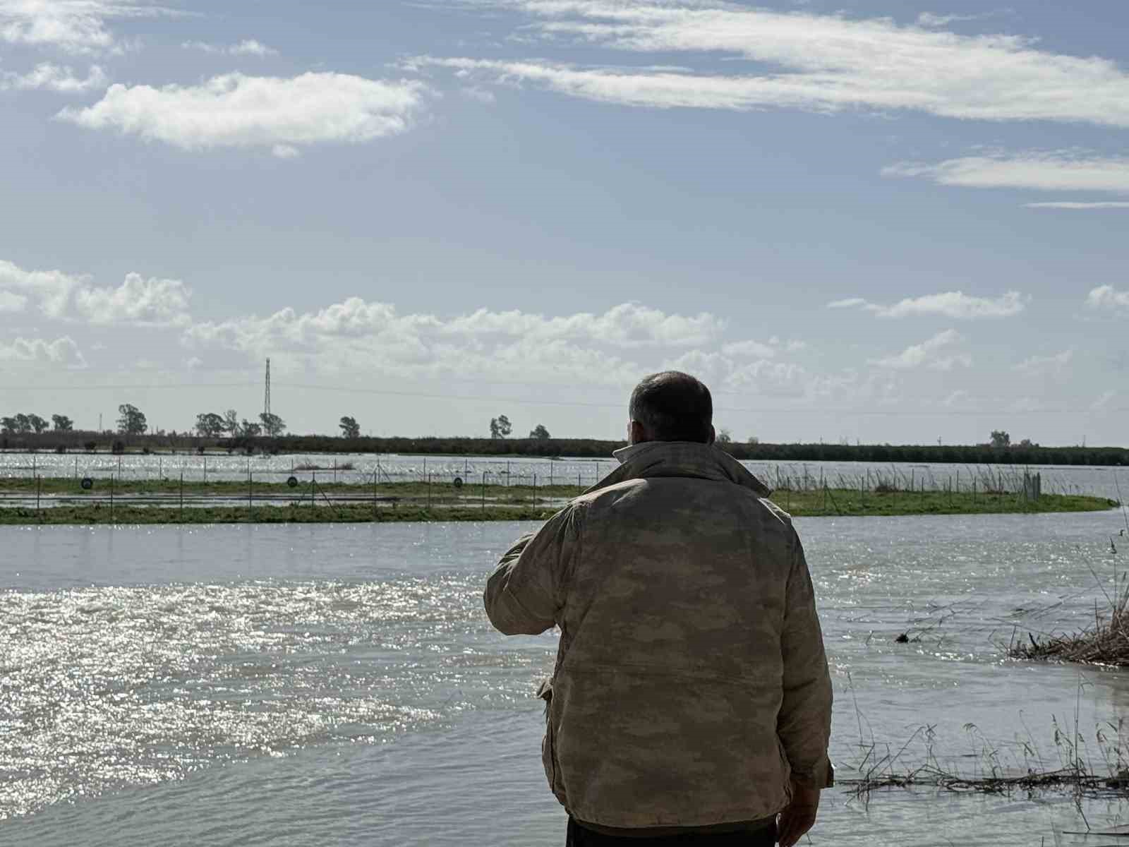 Seyhan Nehri taştı, Tarsus’ta tarım arazileri sular altında kaldı
