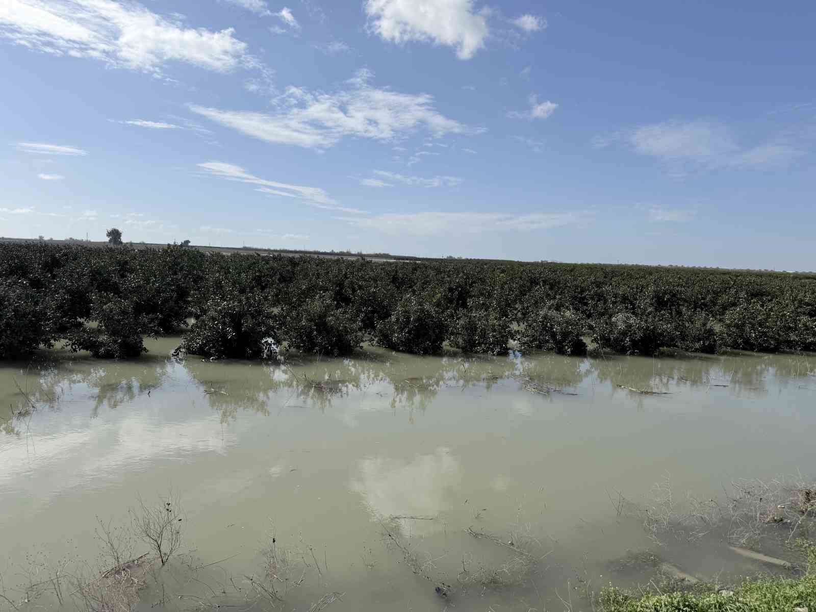 Seyhan Nehri taştı, Tarsus’ta tarım arazileri sular altında kaldı
