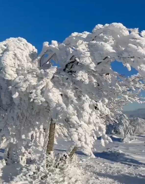 Sibirya değil Çataldağ
