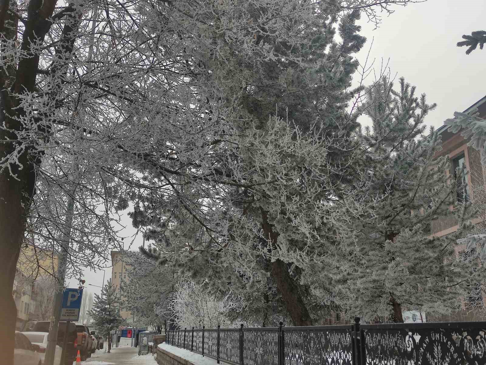 Sibirya soğukları hayatı olumsuz etkiliyor
