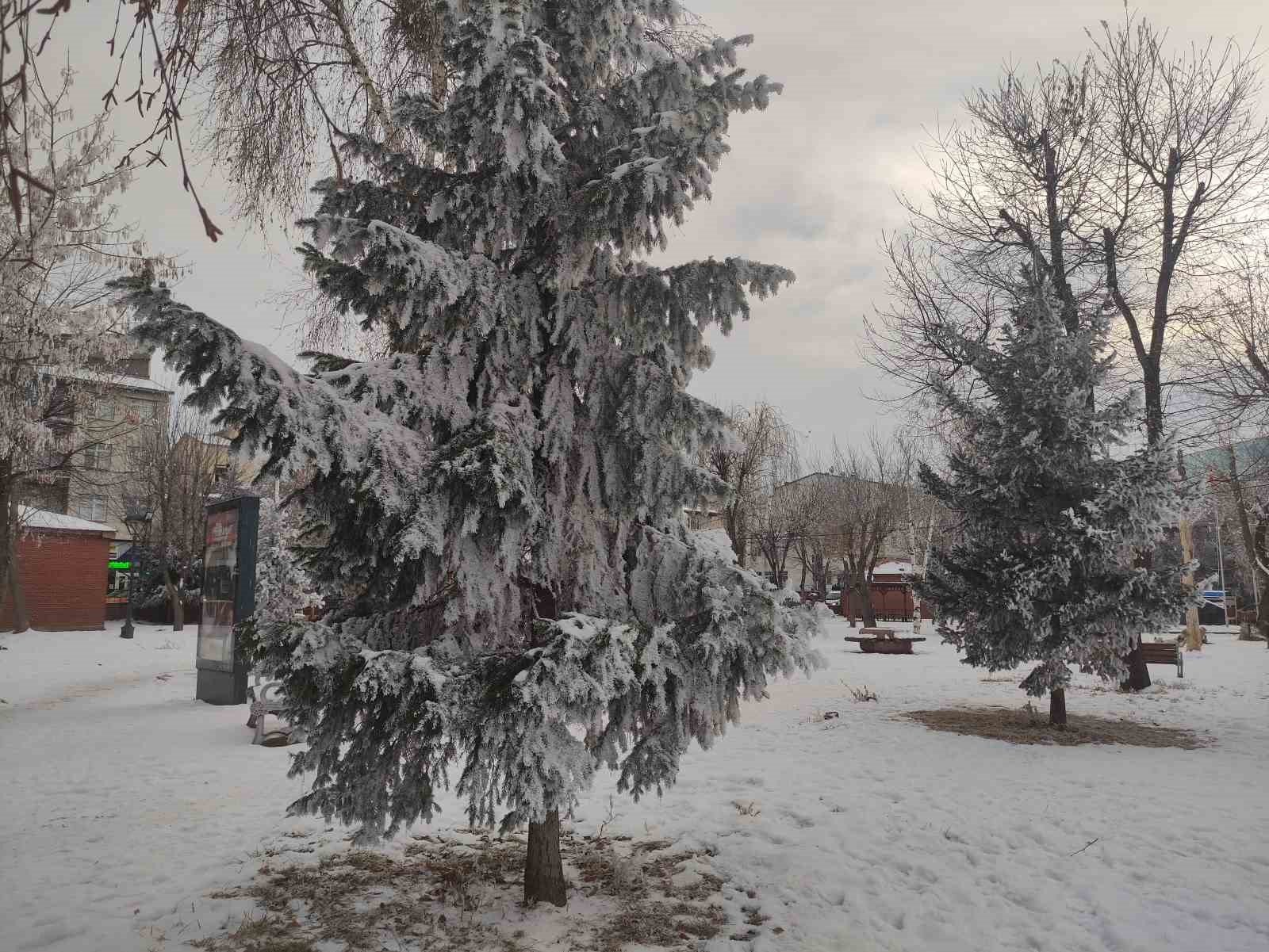 Sibirya soğukları hayatı olumsuz etkiliyor
