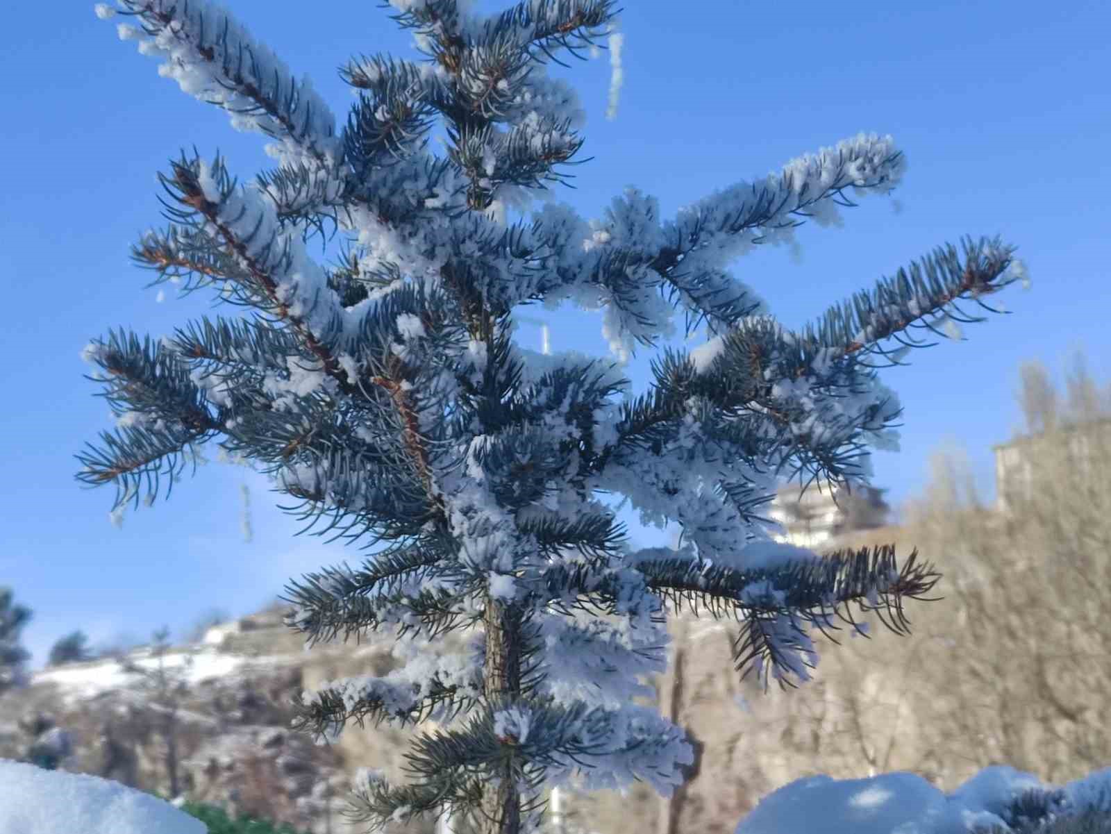 Sibirya soğuklarının etkili olduğu Ardahan’da
