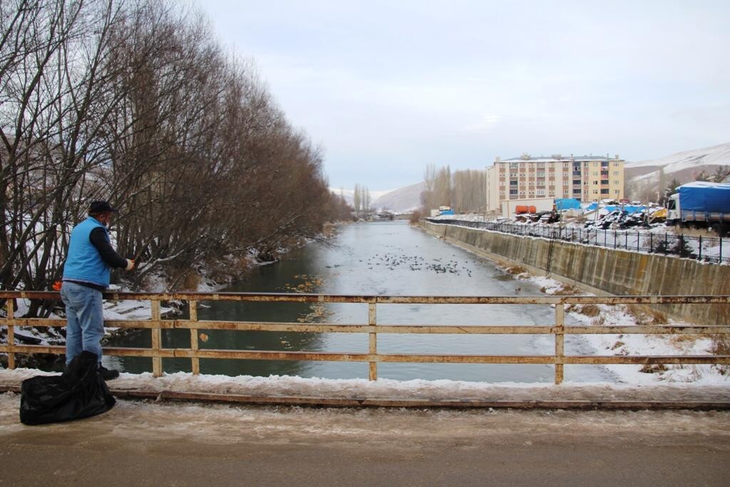 Sibirya’dan göç eden yeşilbaşlı ördekler Çoruh Nehri’ni mesken tuttu
