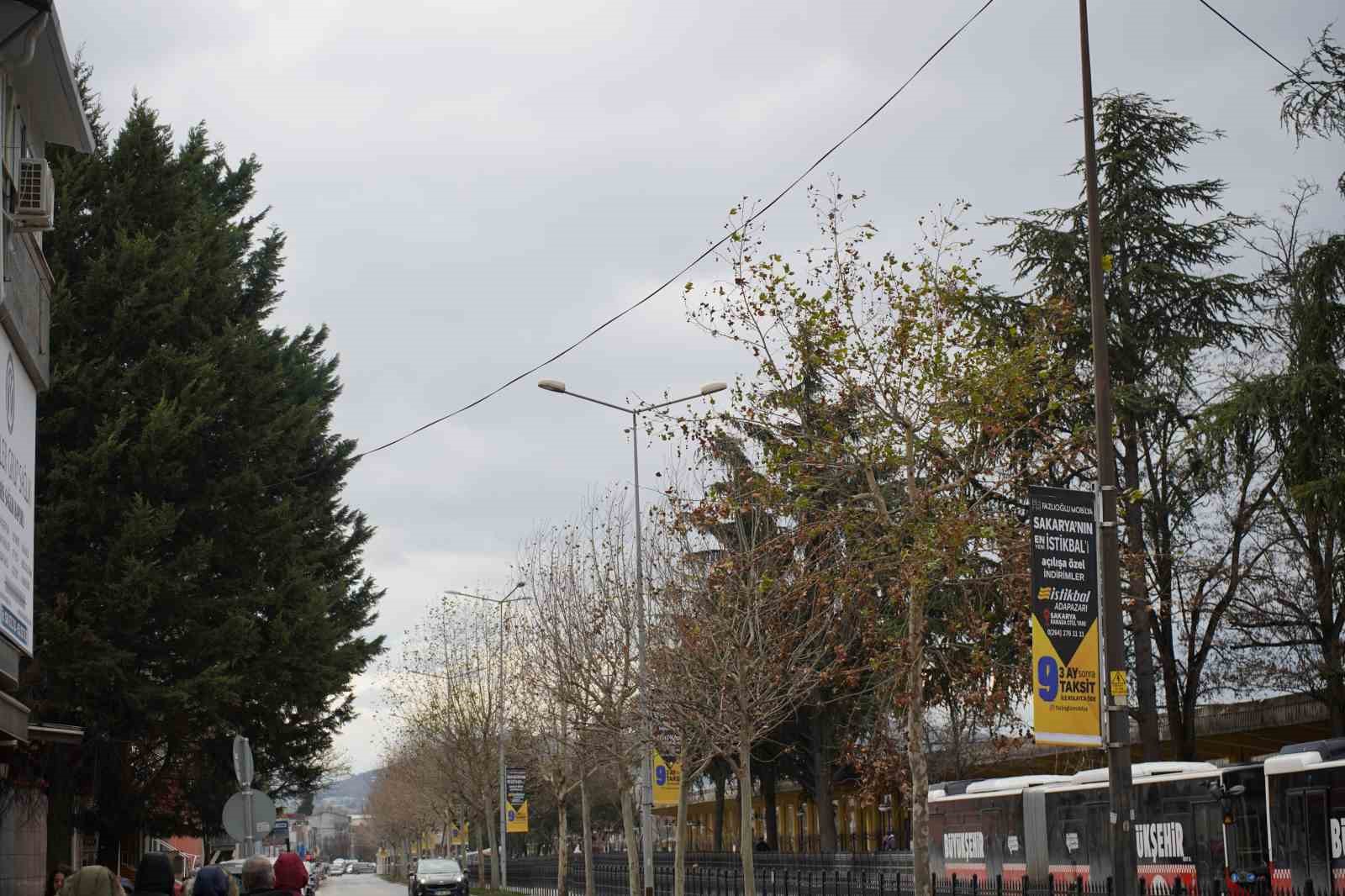 Şiddetli rüzgar hayatı olumsuz etkiledi, bazı ağaçlar devrildi
