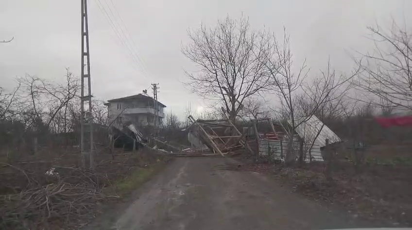 Şiddetli rüzgar ortalığı savaş alanına çevirdi: Yıkılan ağaçlar ve baraka yolu kapattı
