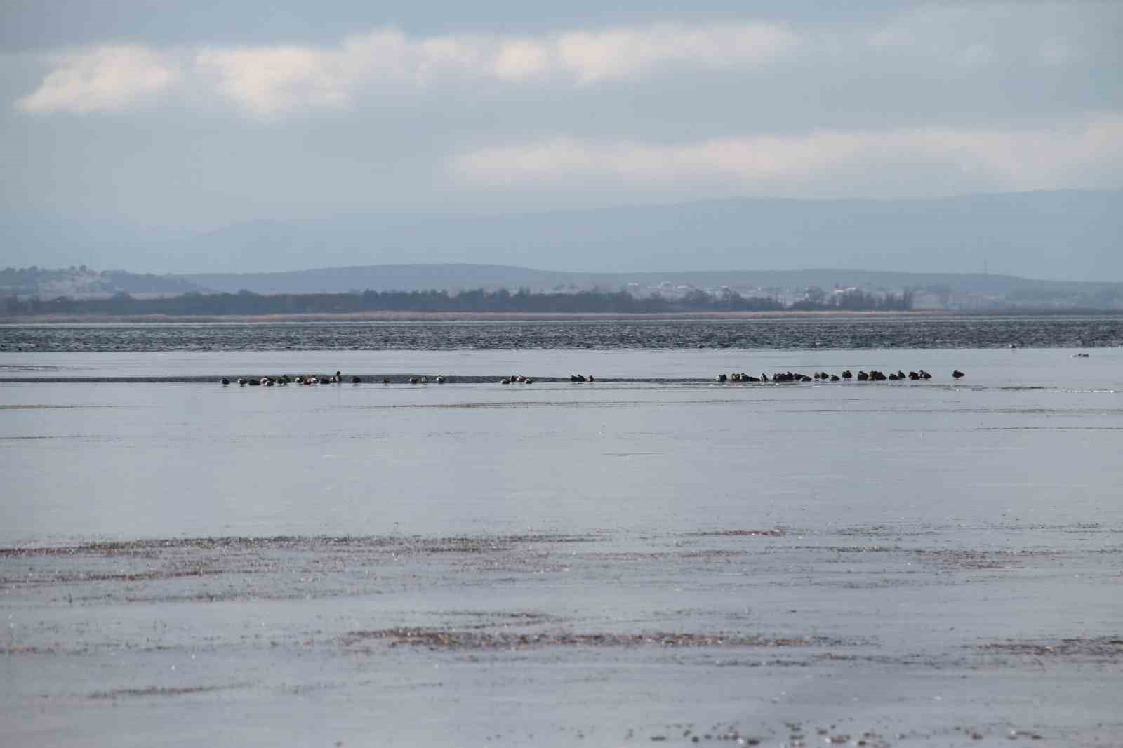 Şiddetli soğuklar Beyşehir Gölü kıyılarının buz tutmasına yol açtı
