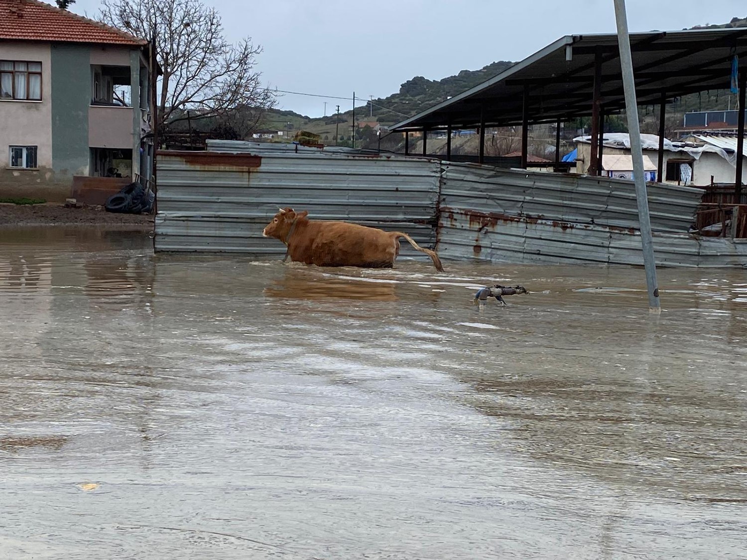Şiddetli yağışlar Kula’da taşkınlara yol açtı
