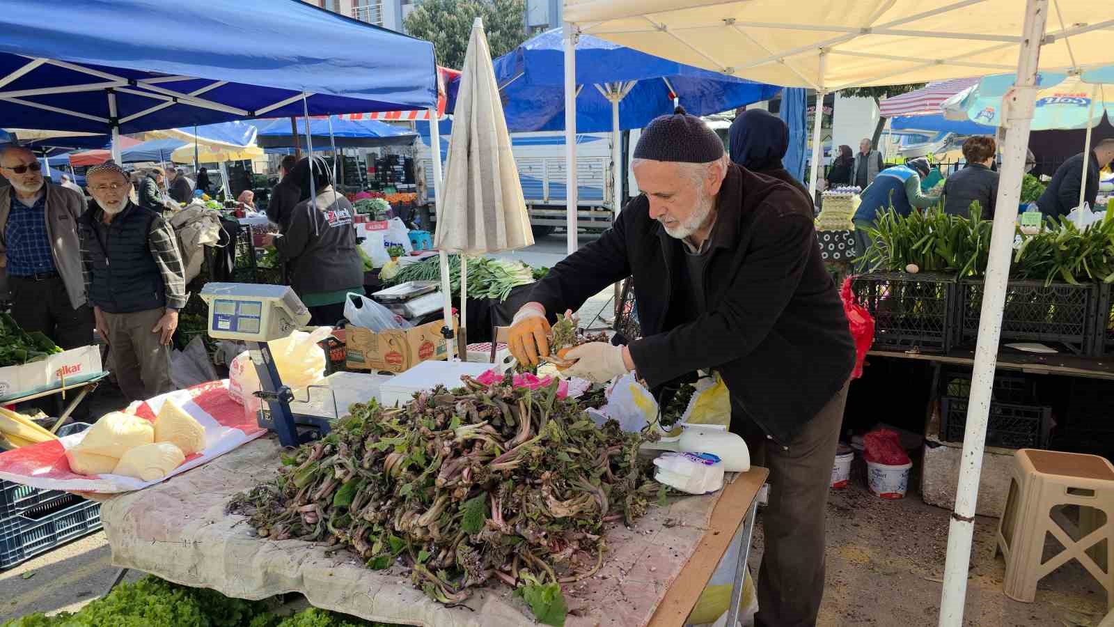 Şifa dağıtan kaldirik otu tezgahlardaki yerini aldı
