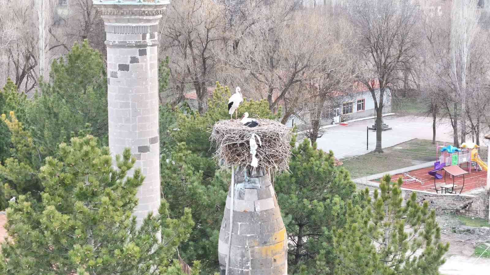 Şıhbarak mahallesinde baharın müjdecisi leylekler yuvalarına döndü
