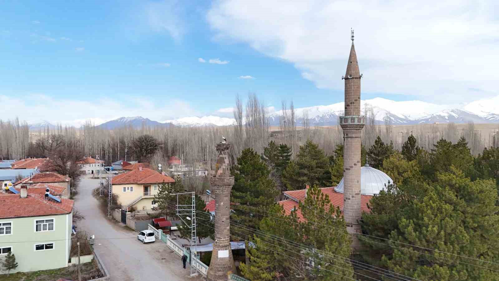 Şıhbarak mahallesinde baharın müjdecisi leylekler yuvalarına döndü
