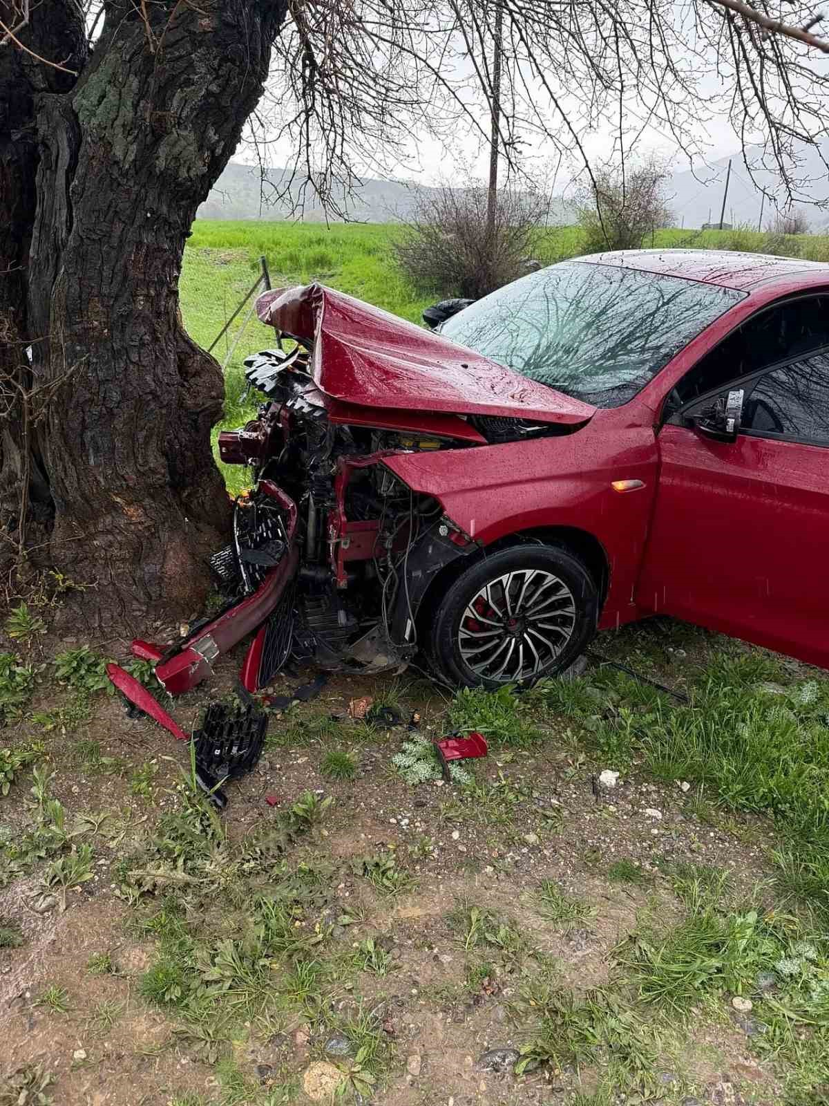 Siirt’te ağaca çarpan otomobilin sürücüsü yaralandı
