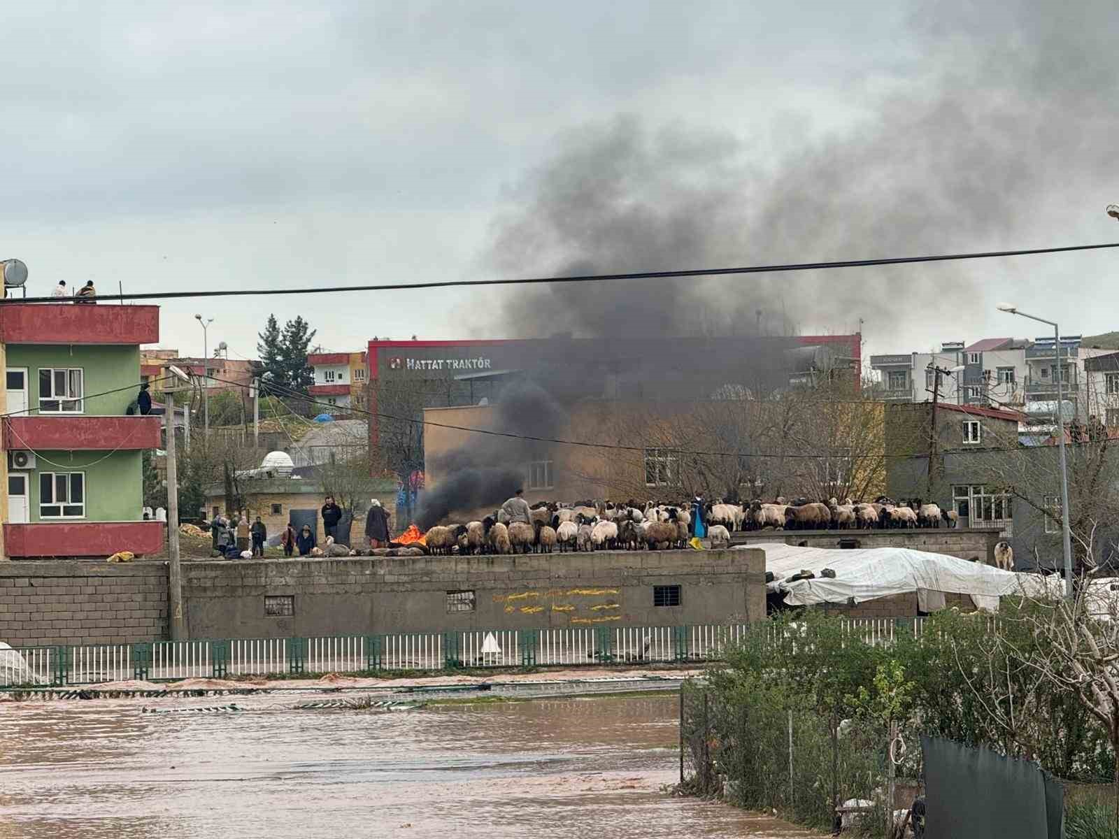 Siirt’te gece yağışı sele dönüştü, ev ve iş yerlerini su bastı
